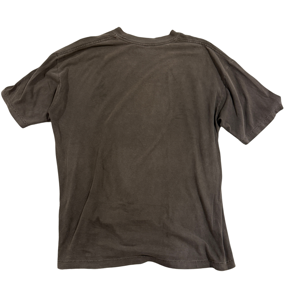 Pop Evil - What Remains Lightning Dark Gray T-Shirt